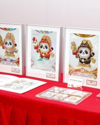 云鼎娱乐-“马墩墩”等奥运收藏卡新品首发，奥运冠军杨扬讲述卡牌的故事